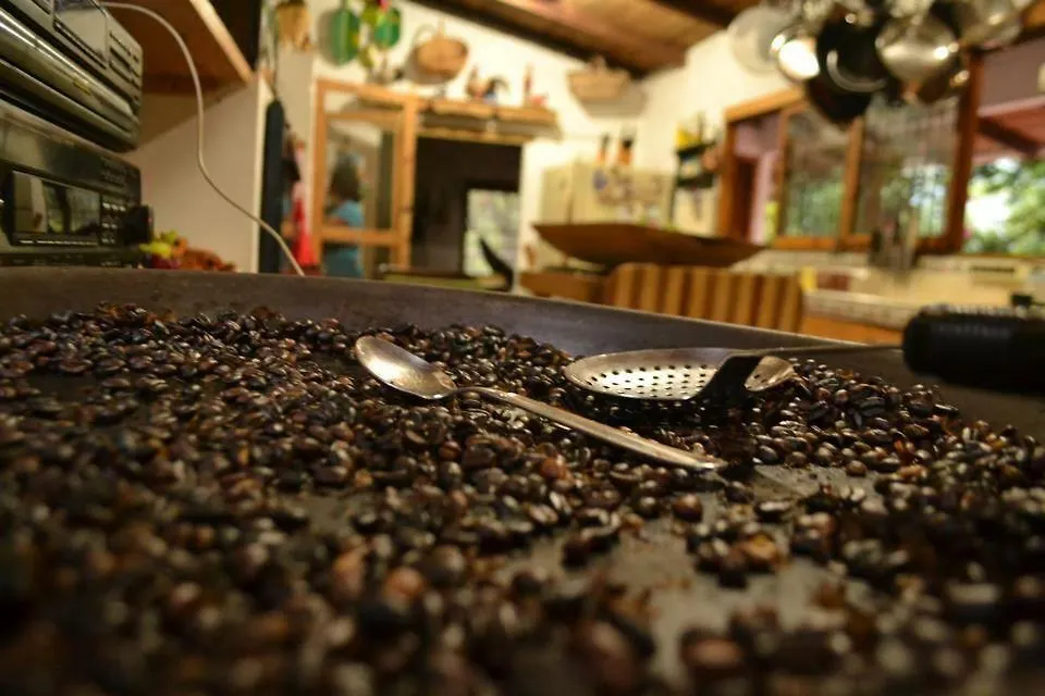 El Nilo Pance Bed & Breakfast Cali